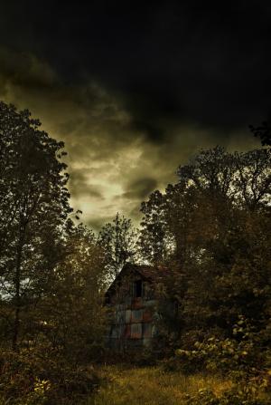 Cabane dans les bois