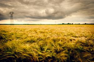 Orage d'orge