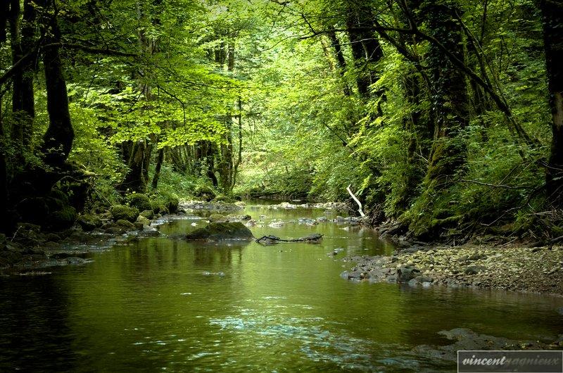 Ruisseau du puits noir